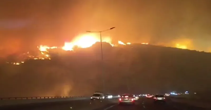 Aumenta a 99 el número de muertos por los incendios forestales en Chile