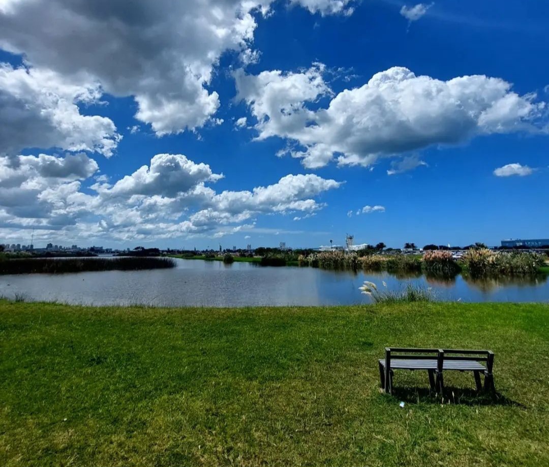 Desarrollan un proyecto para monitorear la calidad del agua de las Lagunas de Punta Mogotes